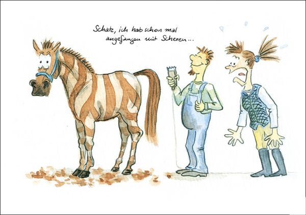 Produktbild: Gesammelte Geschichten vom Pferd