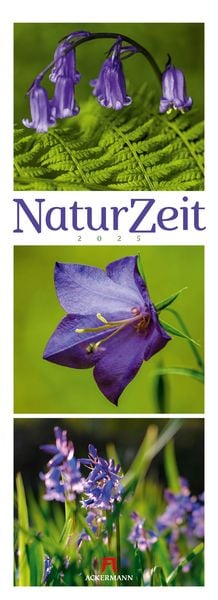 NaturZeit Triplet-Kalender 2025