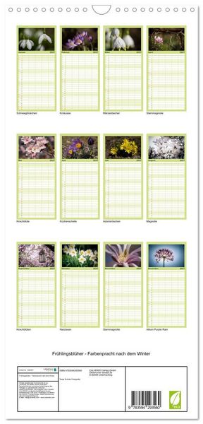 Produktbild: Familienplaner 2027 - Fr&uuml;hlingsbl&uuml;her - Farbenpracht nach dem Winter mit 5 Spalten (Wandkalender, 21 x 45 cm) CALVENDO