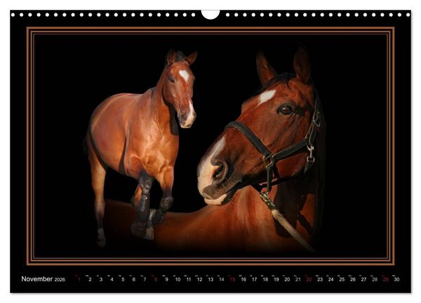 Produktbild: Traumpferde-ART-Collection (Wandkalender 2026 DIN A3 quer), CALVENDO Monatskalender