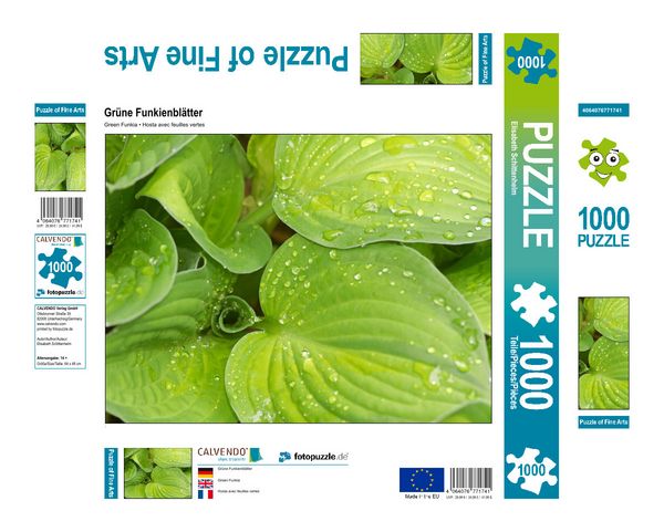 Produktbild: CALVENDO Puzzle Gr&uuml;ne Funkienbl&auml;tter | 1000 Teile Lege-Gr&ouml;&szlig;e 64x48cm Foto-Puzzle f&uuml;r gl&uuml;ckliche Stunden
