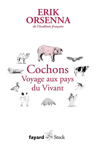 Produktbild: Petit pr&eacute;cis de mondialisation