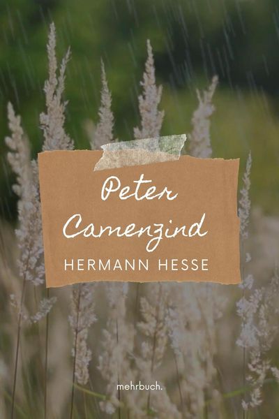 Produktbild: Peter Camenzind