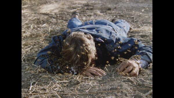 Produktbild: Killerbienen II - Die M&ouml;rderbienen greifen wieder an (Terror aus den Wolken / Terror Out of the Sky) (Filmjuwelen)