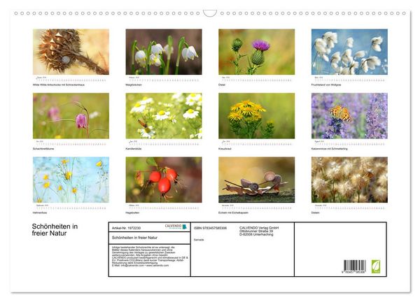 Produktbild: Sch&ouml;nheiten in freier Natur (Wandkalender 2026 DIN A2 quer), CALVENDO Monatskalender