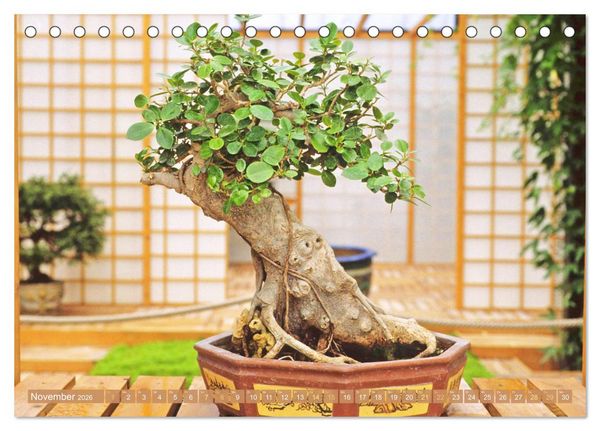 Produktbild: Gartenkunst aus Japan: Bonsai (Tischkalender 2026 DIN A5 quer), CALVENDO Monatskalender