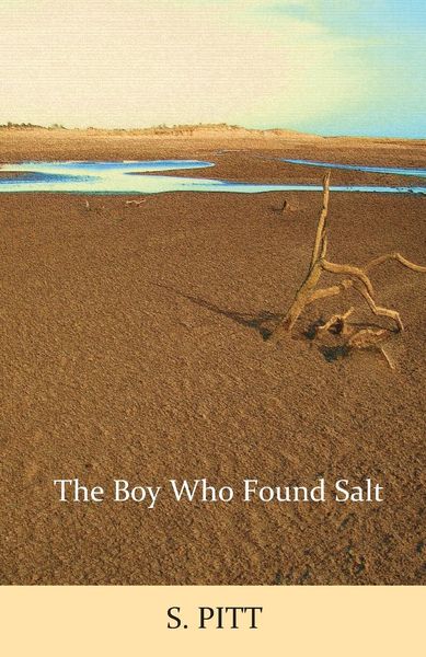 Produktbild: The Boy Who Found Salt