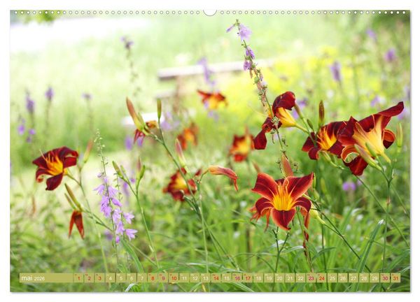 Produktbild: Lys d'un jour (Calendrier mural 2026 DIN A2 vertical), CALVENDO calendrier mensuel
