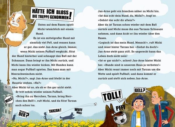 Produktbild: King-Kong, das Schulschwein