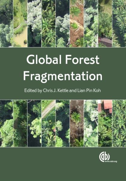 Produktbild: Global Forest Fragmentation