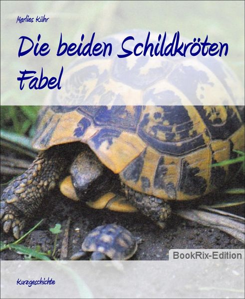 Produktbild: Die beiden Schildkr&ouml;ten