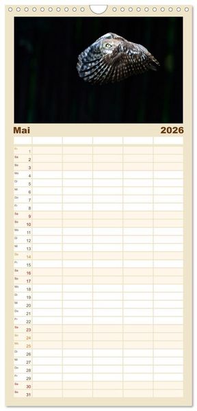 Produktbild: Familienplaner 2026 - Faszination Steinkauz mit 5 Spalten (Wandkalender, 21 x 45 cm) CALVENDO
