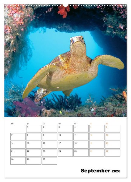 Produktbild: Farbrausch unter Wasser: Fische am Riff (Wandkalender 2026 DIN A2 hoch), CALVENDO Monatskalender