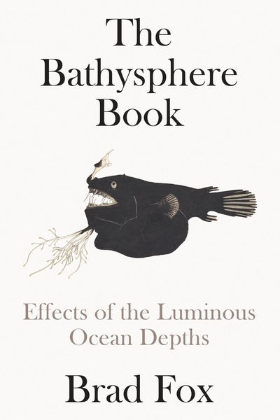 Produktbild: The Bathysphere Book