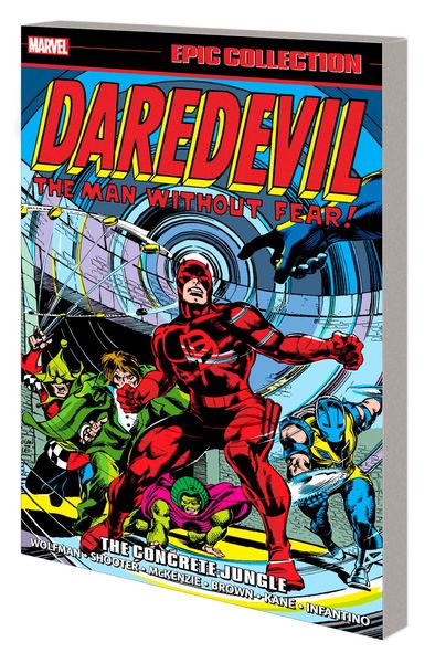 Produktbild: Daredevil Epic Collection