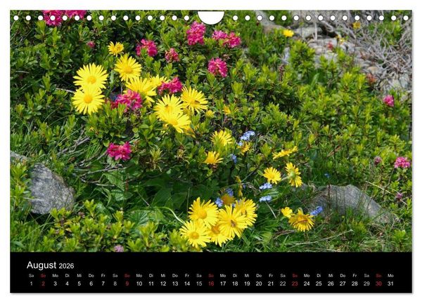 Produktbild: Im Tauferer Ahrntal in S&uuml;dtirol (Wandkalender 2026 DIN A4 quer), CALVENDO Monatskalender