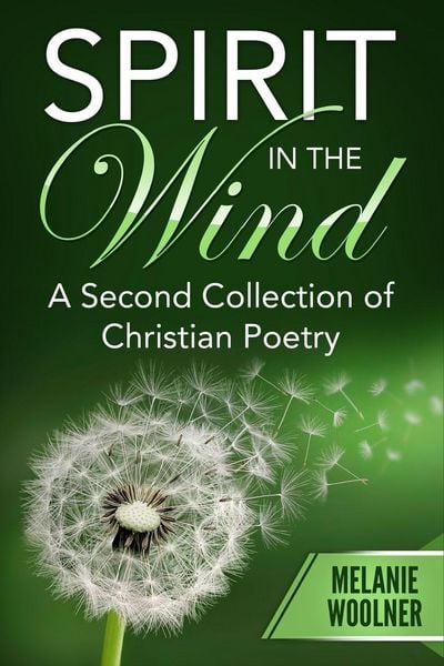 Produktbild: Spirit In the Wind