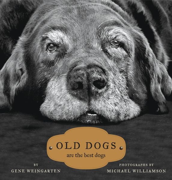 Produktbild: Old Dogs