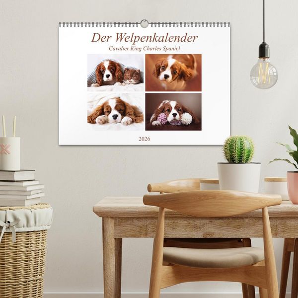 Produktbild: Der Welpenkalender - Cavalier King Charles Spaniel (Wandkalender 2026 DIN A3 quer), CALVENDO Monatskalender
