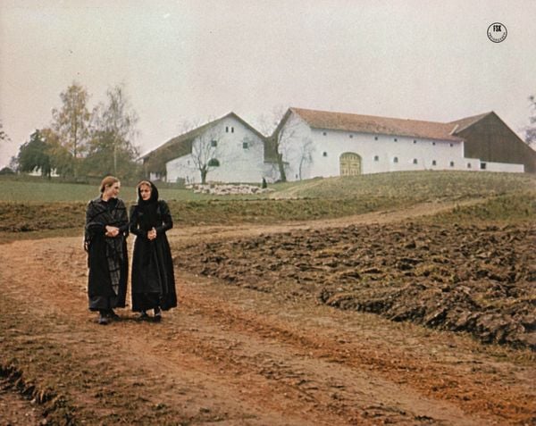 Produktbild: Der Sternsteinhof (Filmjuwelen)