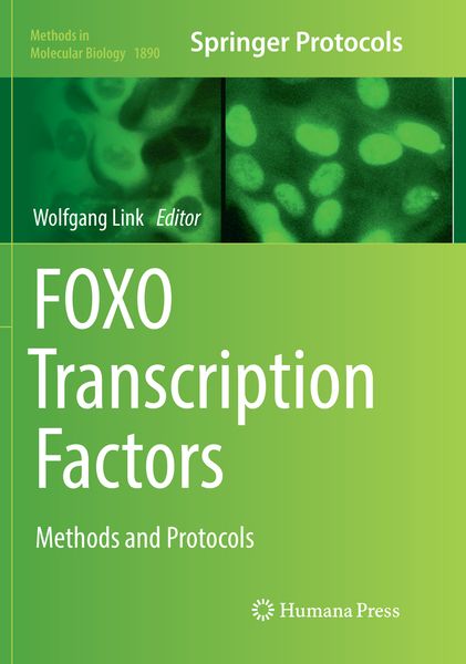 Produktbild: FOXO Transcription Factors