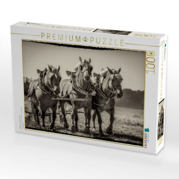 Produktbild: CALVENDO Puzzle Pfl&uuml;gen mit drei Pferden | 1000 Teile Lege-Gr&ouml;&szlig;e 64x48cm Foto-Puzzle f&uuml;r gl&uuml;ckliche Stunden