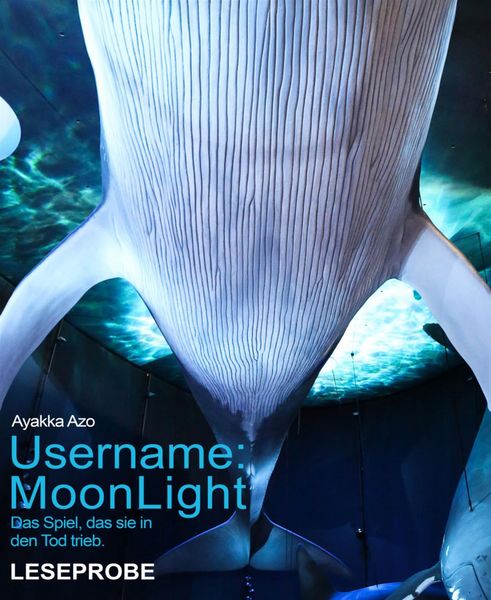 Produktbild: Username: MoonLight