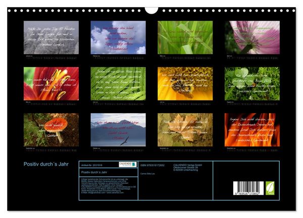 Produktbild: Positiv durch&acute;s Jahr (Wandkalender 2026 DIN A3 quer), CALVENDO Monatskalender