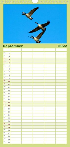 Produktbild: KANADA-GANS - Der 'hupende' Vogel - Familienplaner hoch (Wandkalender 2022 , 21 cm x 45 cm, hoch)