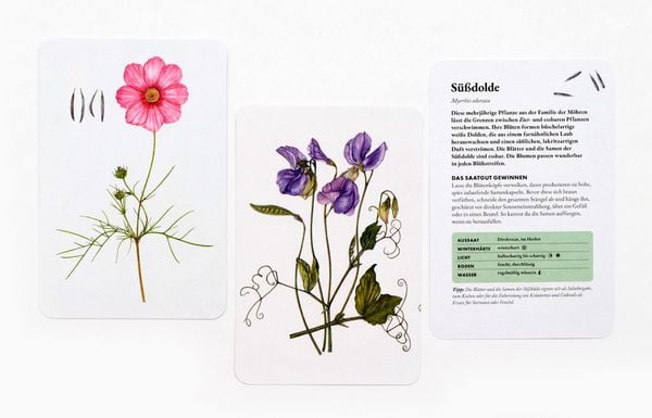 Produktbild: Das Saatgut-Sammelset