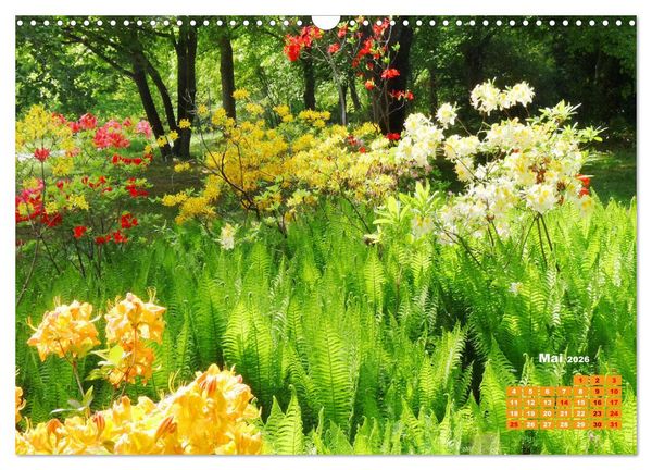 Produktbild: Urlaub im Garten (Wandkalender 2026 DIN A3 quer), CALVENDO Monatskalender