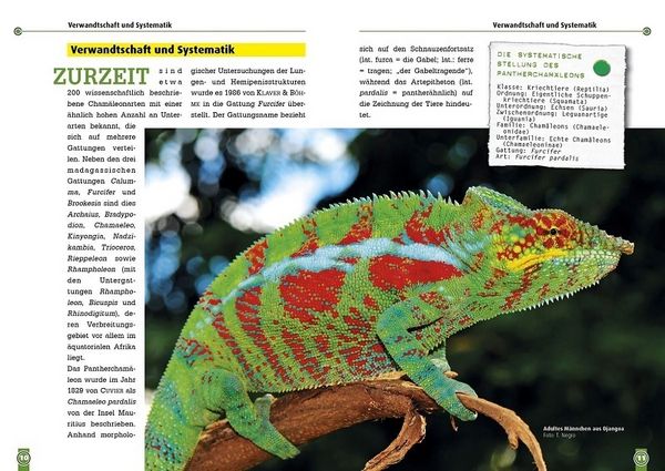 Produktbild: Das Panthercham&auml;leon