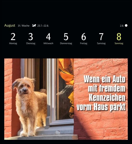 Produktbild: Animal Memes Postkartenkalender 2027 - 53 tierisch witzige Postkarten
