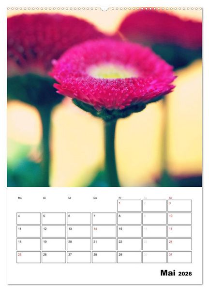 Produktbild: Zauberhafte Bl&uuml;tenwelt / Planer (Wandkalender 2026 DIN A2 hoch), CALVENDO Monatskalender
