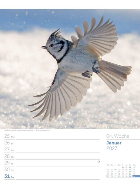 Produktbild: V&ouml;gel Wochenplaner Kalender 2027
