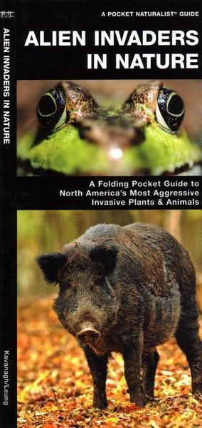 Produktbild: Map-Alien Invaders in Nature