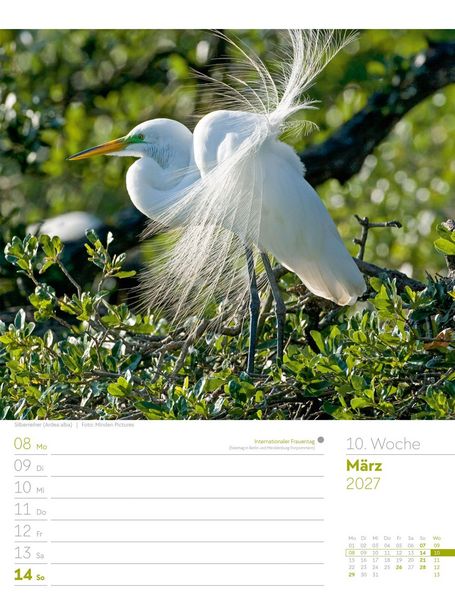 Produktbild: V&ouml;gel Wochenplaner Kalender 2027