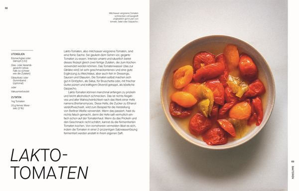 Produktbild: Fermentieren. Rezepte und Techniken f&uuml;r Geschmack, den man nicht kaufen kann