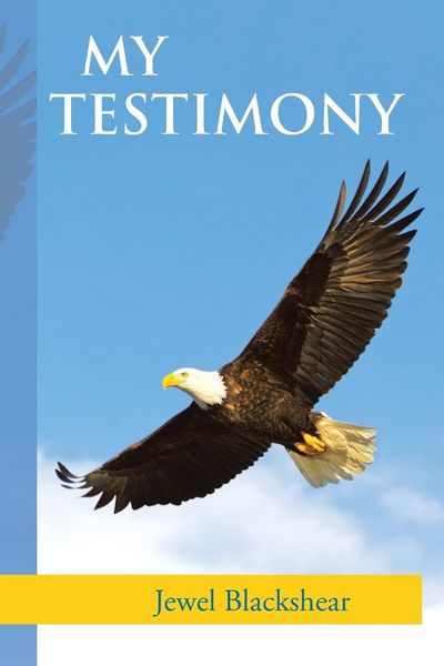 Produktbild: My Testimony