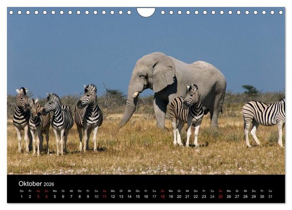 Produktbild: Namibias Highlights (Wandkalender 2026 DIN A4 quer), CALVENDO Monatskalender