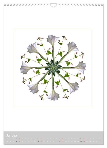Produktbild: Pflanzen - Mandalas aus Bl&uuml;ten und Bl&auml;ttern (Wandkalender 2026 DIN A3 hoch), CALVENDO Monatskalender