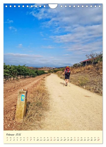 Produktbild: Buen Camino - Auf dem Jakobsweg - Camino Franc&eacute;s (Wandkalender 2026 DIN A4 hoch), CALVENDO Monatskalender
