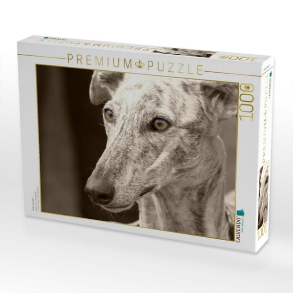 Produktbild: CALVENDO Puzzle Galgo Espa&ntilde;ol | 1000 Teile Lege-Gr&ouml;&szlig;e 64x48cm Foto-Puzzle f&uuml;r gl&uuml;ckliche Stunden