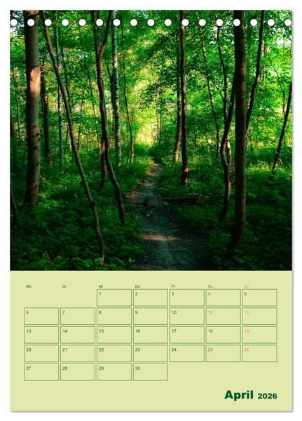 Produktbild: Wald- und Wiesenkalender 2026 Planer (Tischkalender 2026 DIN A5 hoch), CALVENDO Monatskalender