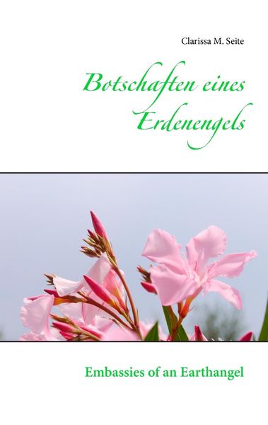 Produktbild: Botschaften eines Erdenengels