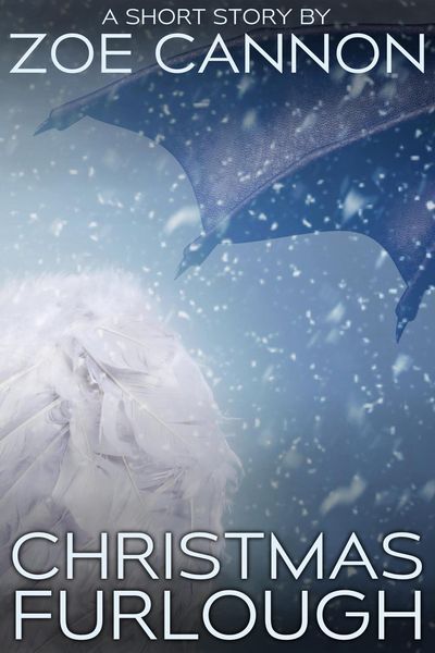Produktbild: Christmas Furlough