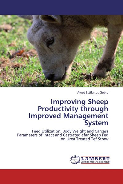 Produktbild: Improving Sheep Productivity through Improved Management System