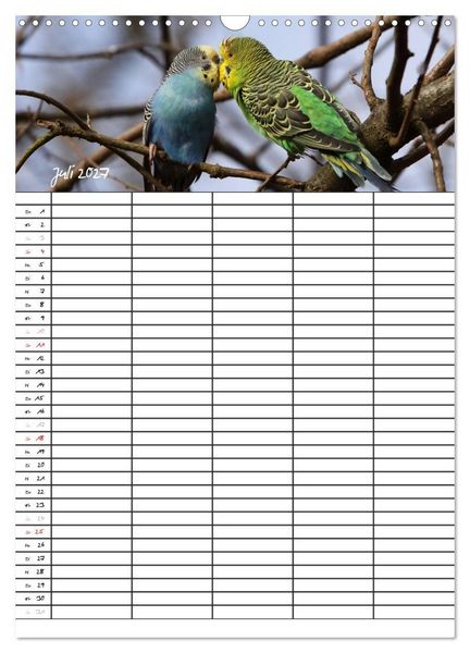 Produktbild: Wellensittiche (Wandkalender 2027 DIN A3 hoch), CALVENDO Monatskalender