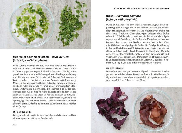 Produktbild: Gesund mit Algen