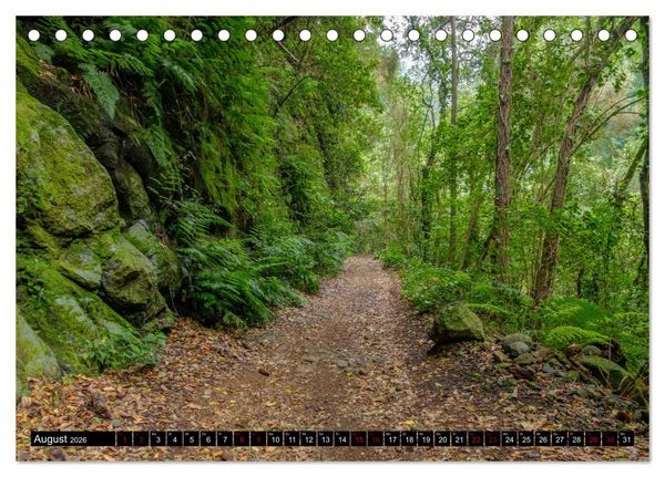 Produktbild: Natur pur erleben auf La Palma (Tischkalender 2026 DIN A5 quer), CALVENDO Monatskalender